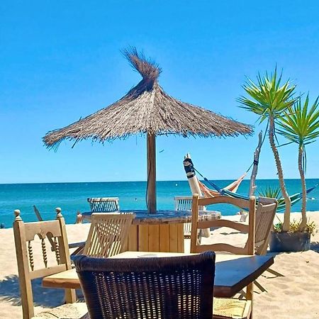T3 Grande Terrasse Bord De Mer Le Barcarès Εξωτερικό φωτογραφία